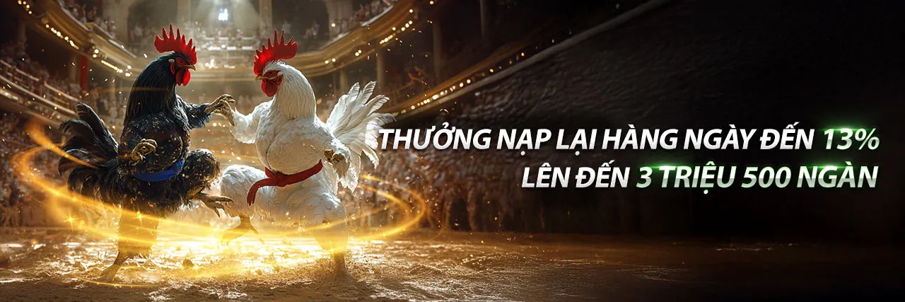 Đá gà Thabet Web 2026 - Các trận đấu gà kịch tính